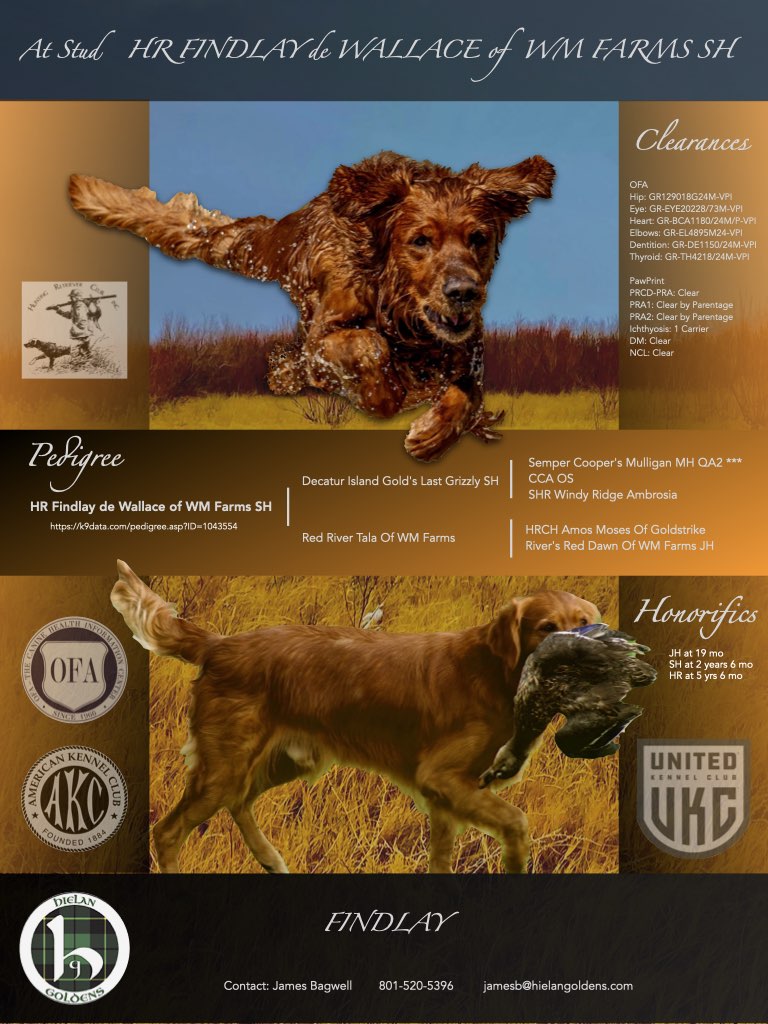 2025 Findlay Stud.001