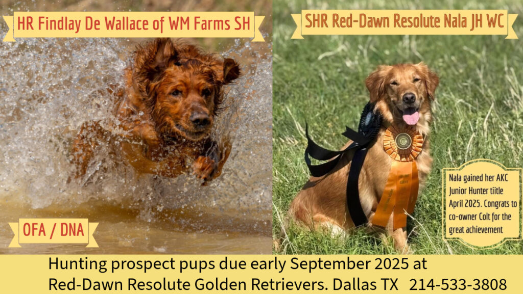 D2BDA134-6CFF-4530-B636-08752EE0FA9B