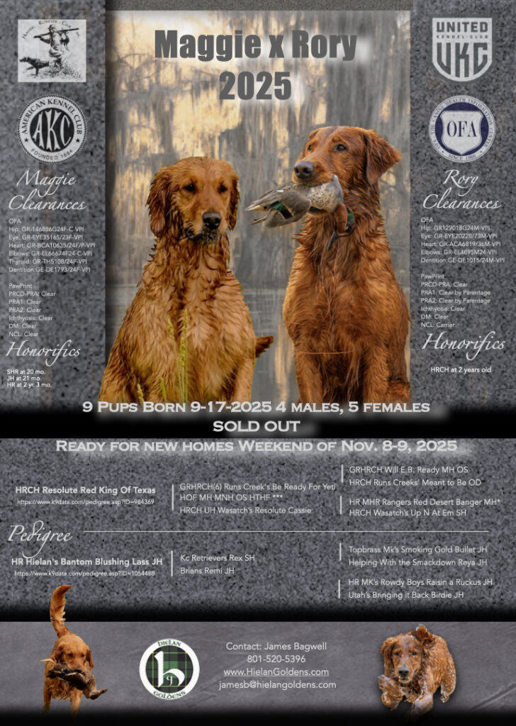 2025 Litters Remaining pups.001