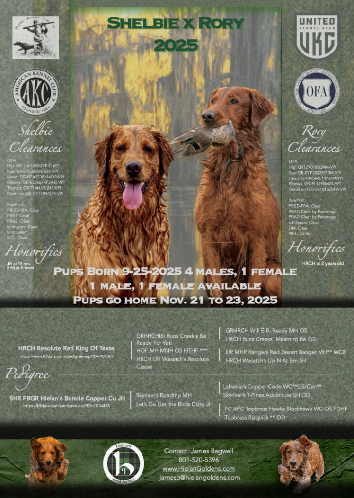 2025 Litters Remaining pups.001