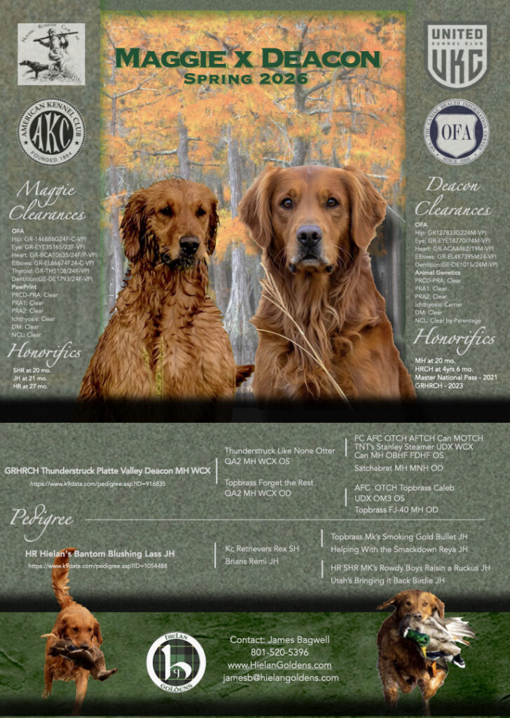 Maggie Deacon 2026.001